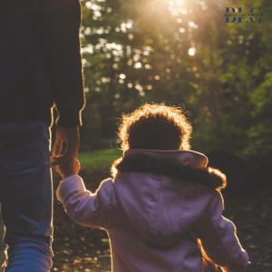 Castle Rock Family Attorney